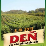 DVV_2015_plag_A4_web.indd